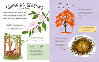 Adventures in Nature: Exploring a Wood