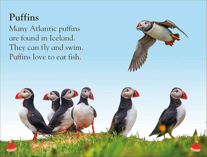 DK Reader Level 1: Welcome To Iceland