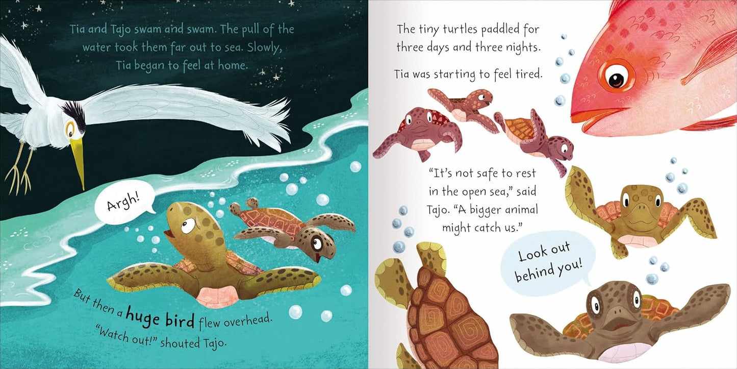 TIA THE TURTLE