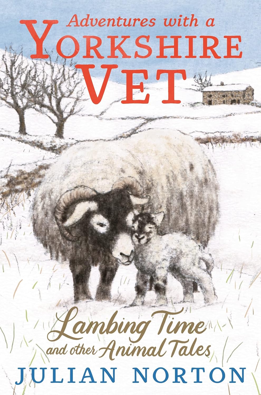 Adventures with a Yorkshire Vet: Lambing Time & other Animal Tales