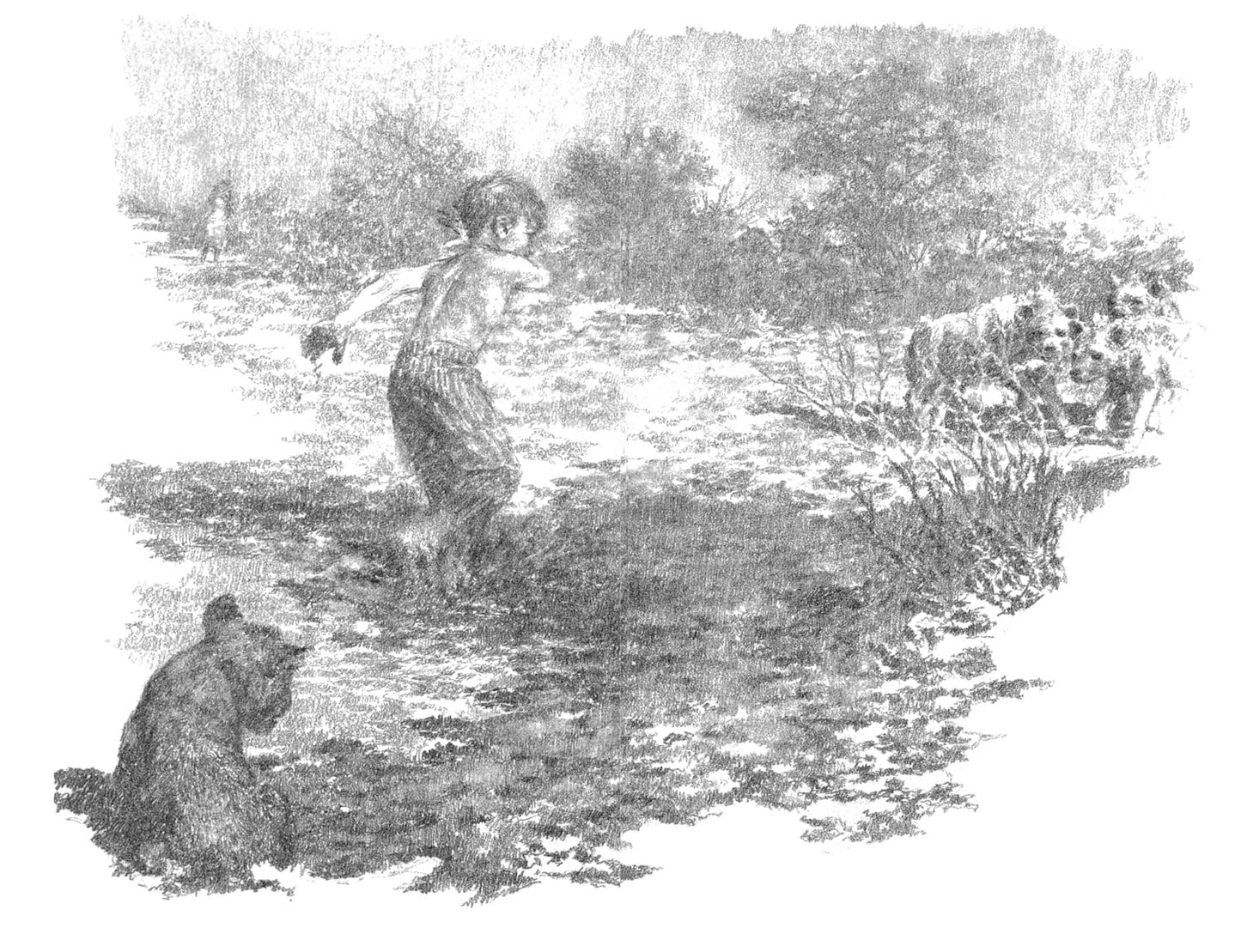 The butterfly lion ( Pack of 30 )