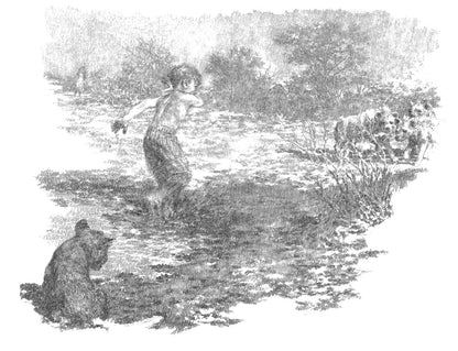 The butterfly lion ( Pack of 30 )