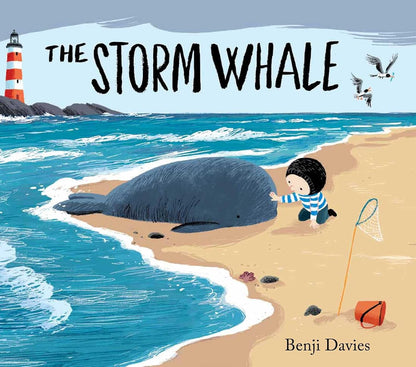 The Storm Whale ( Pack of 30 )