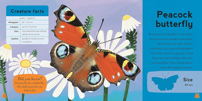 First Book Of Minibeasts