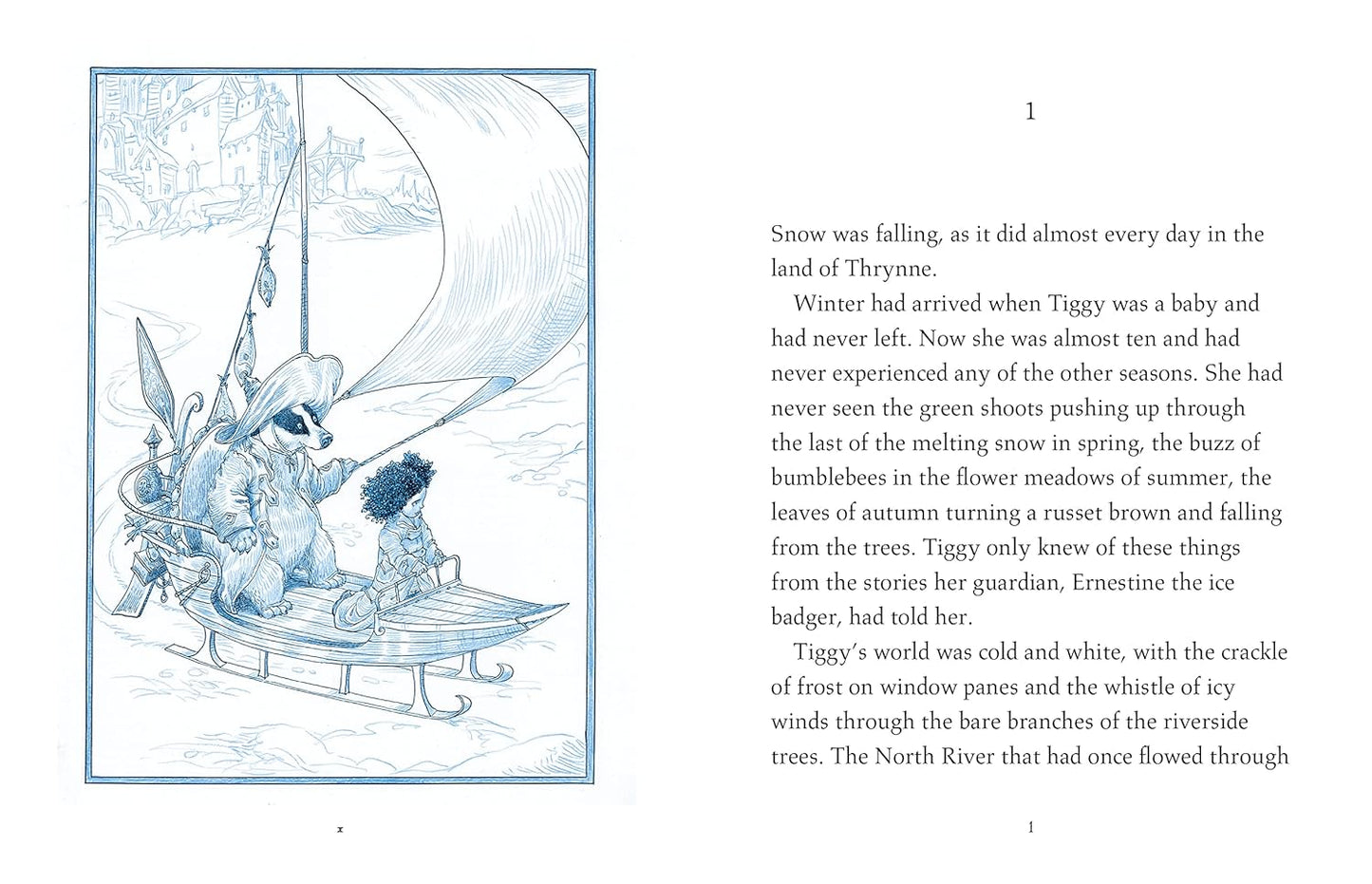 Cloud House Chronicles: Tiggy Thistle & the Lost Guardians