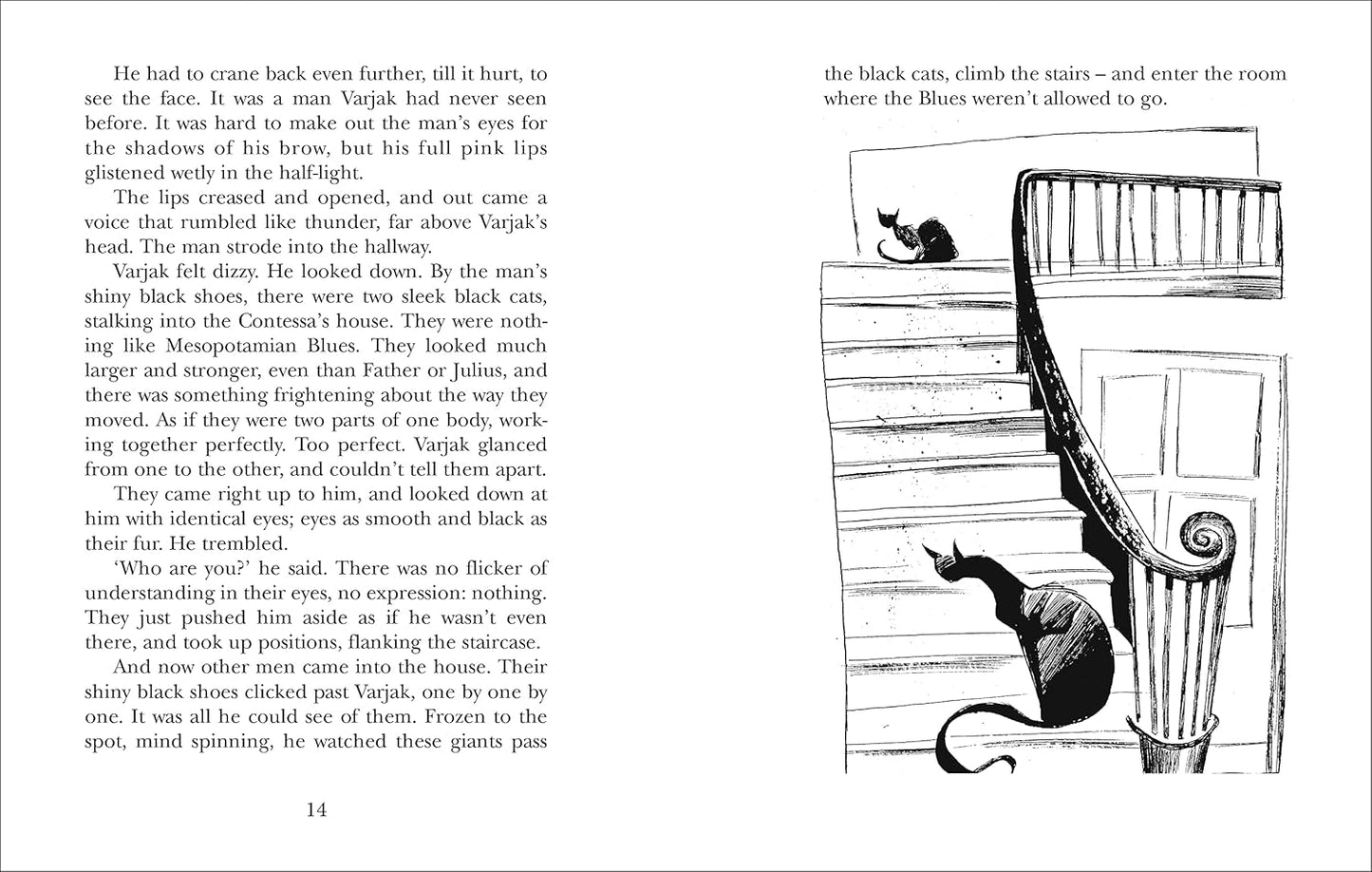 Varjak Paw ( Pack of 30 )