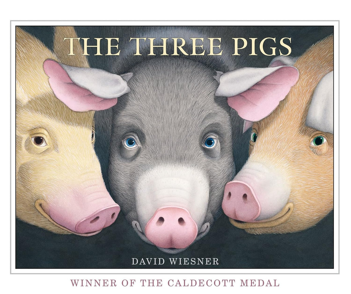 Three Little Pigs