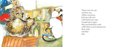 Hairy Maclary's Showbusiness