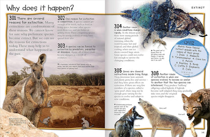 Fantastic Animal Facts