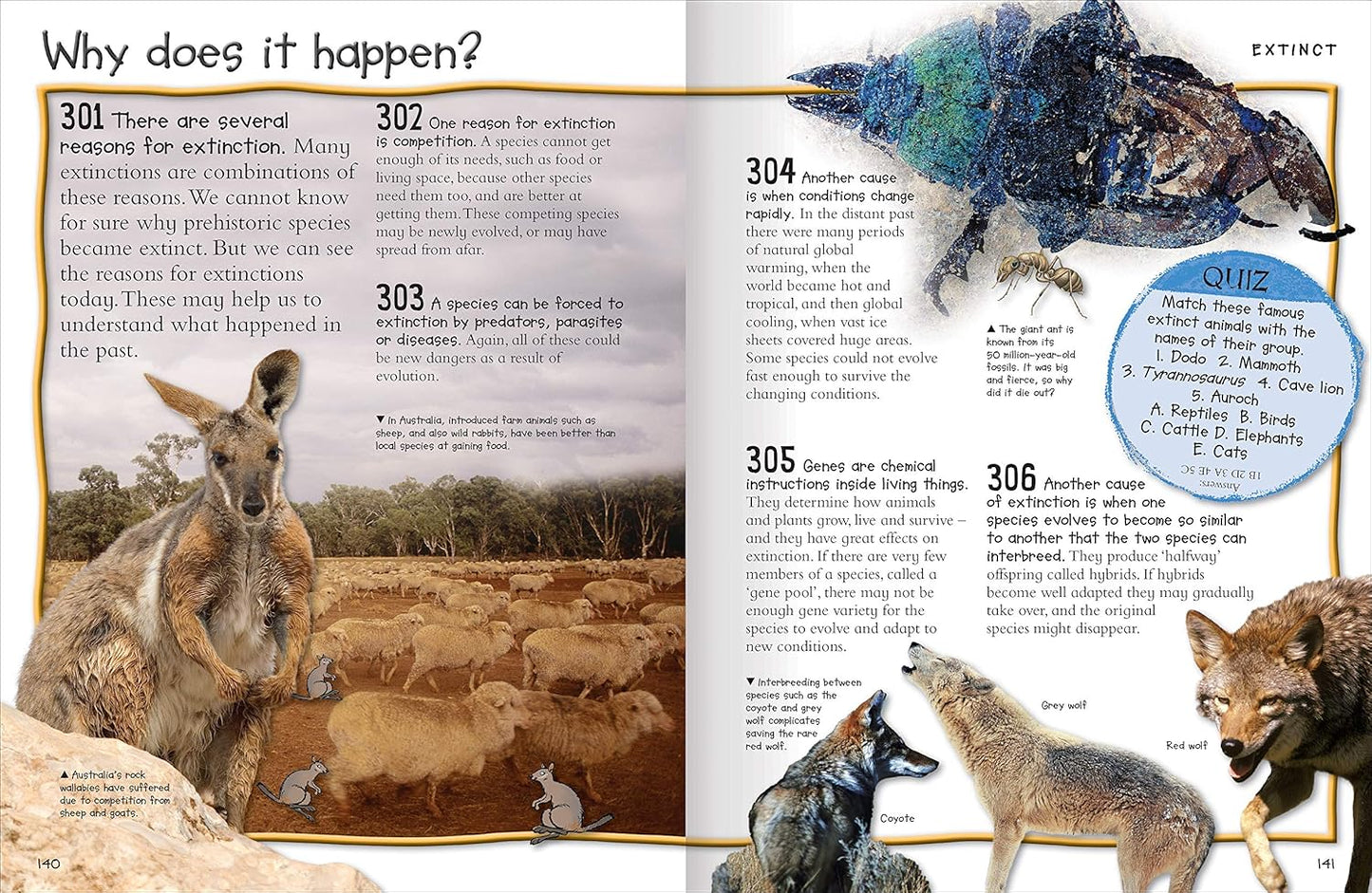 Fantastic Animal Facts