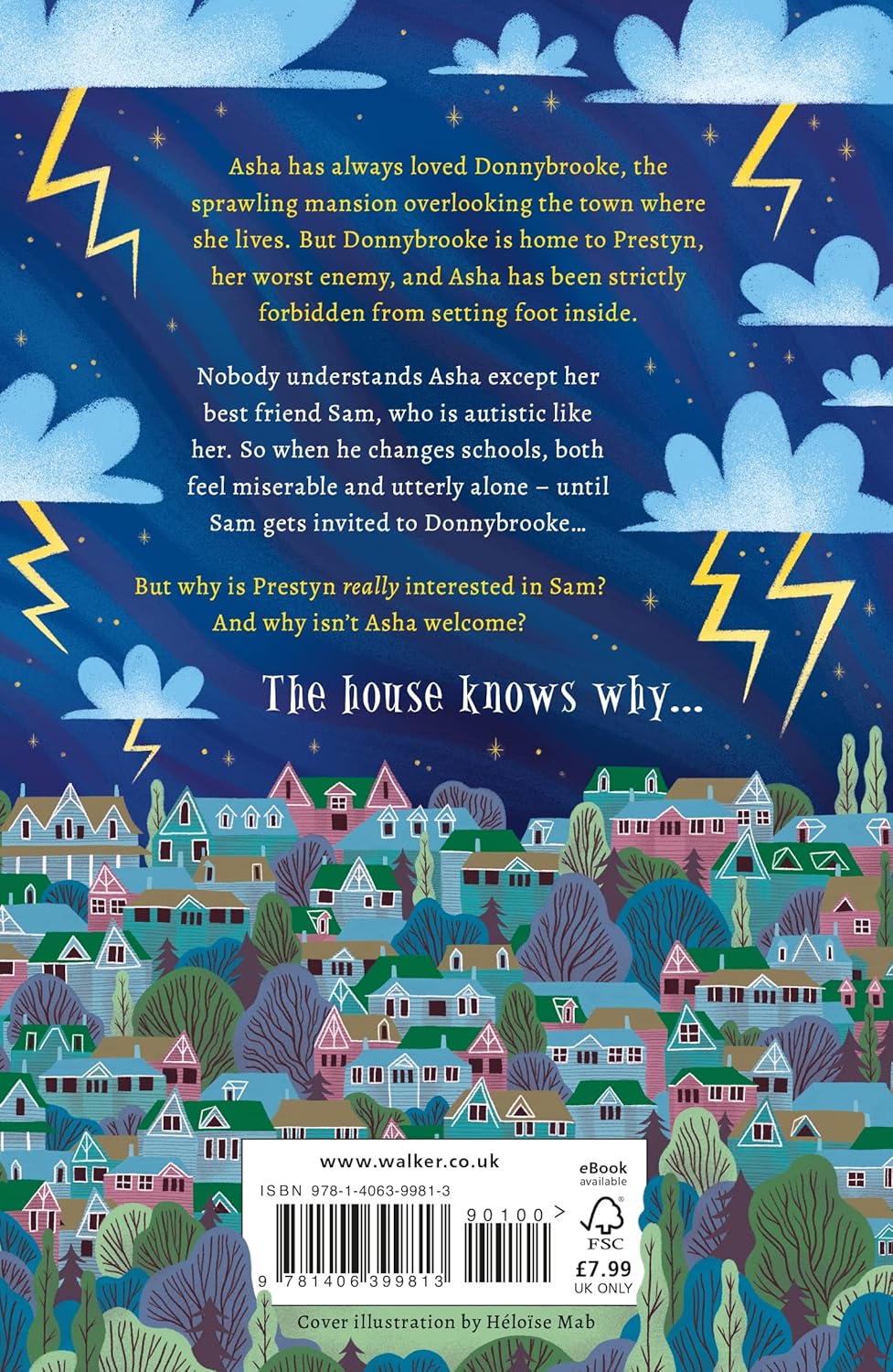 View From Best House In Town