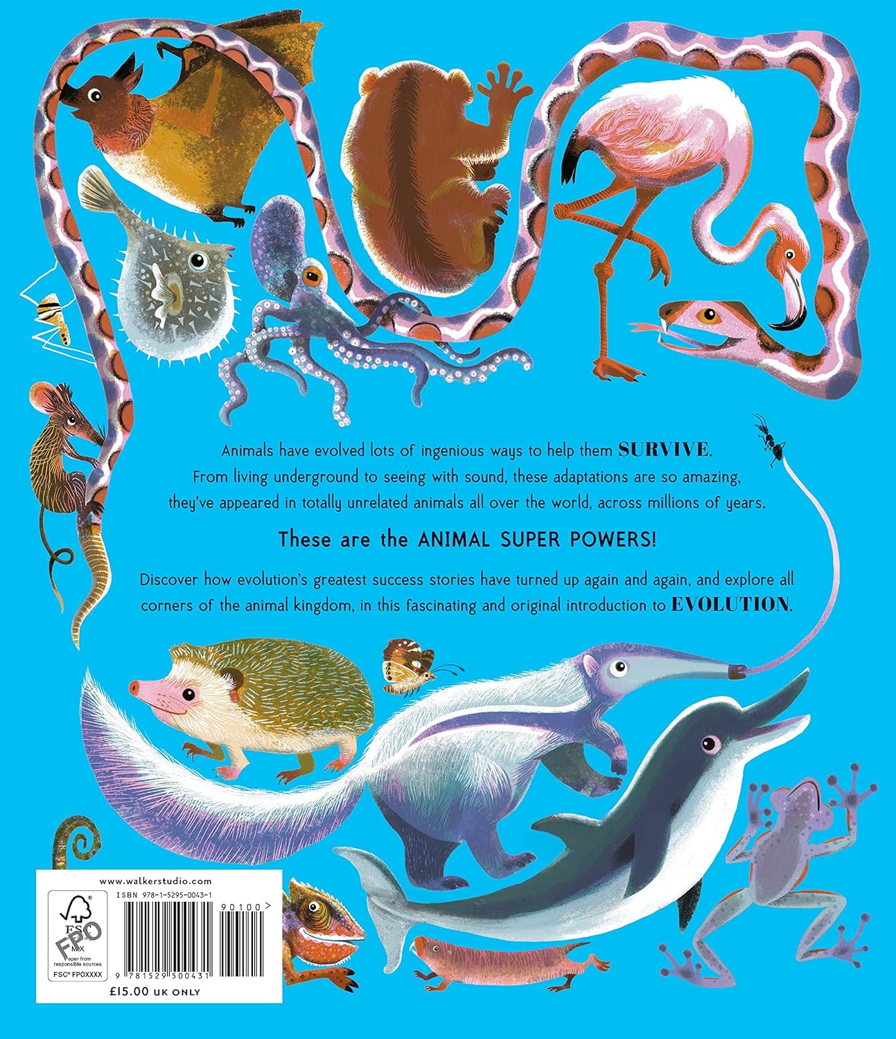 Animal Super Powers: Most Amazing Ways Animals Have Evolved