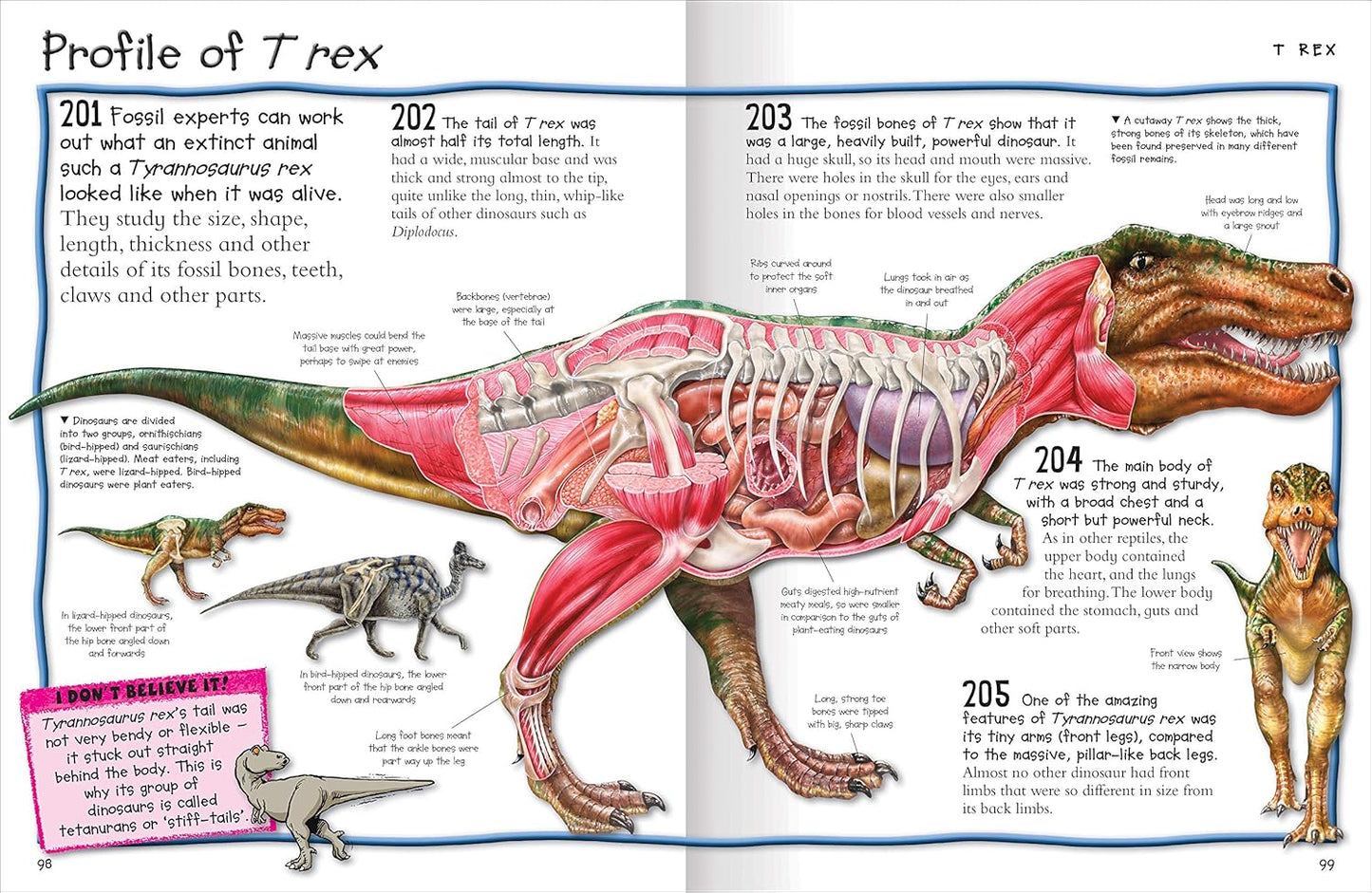 Fantastic Animal Facts