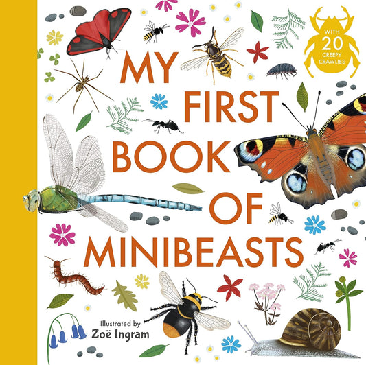 First Book Of Minibeasts