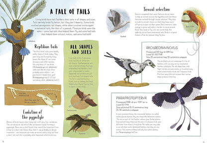 When Dinosaurs Conquered the Skies