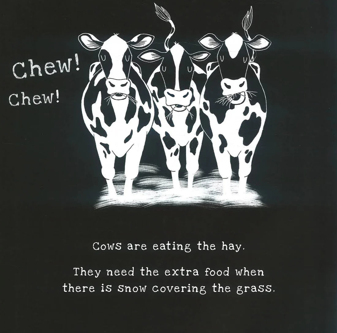 Shine a Light: On the Farm