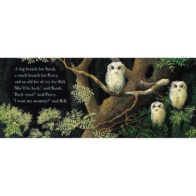 Owl Babies ( Pack of 30 )