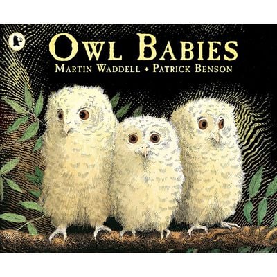 Owl Babies ( Pack of 30 )