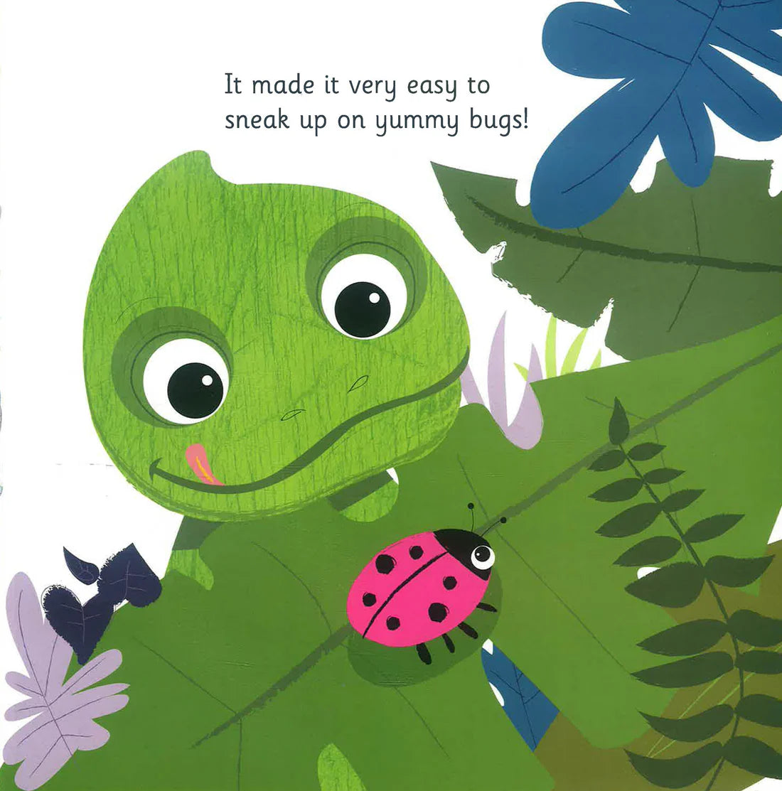 Look at Me! Look at Me!