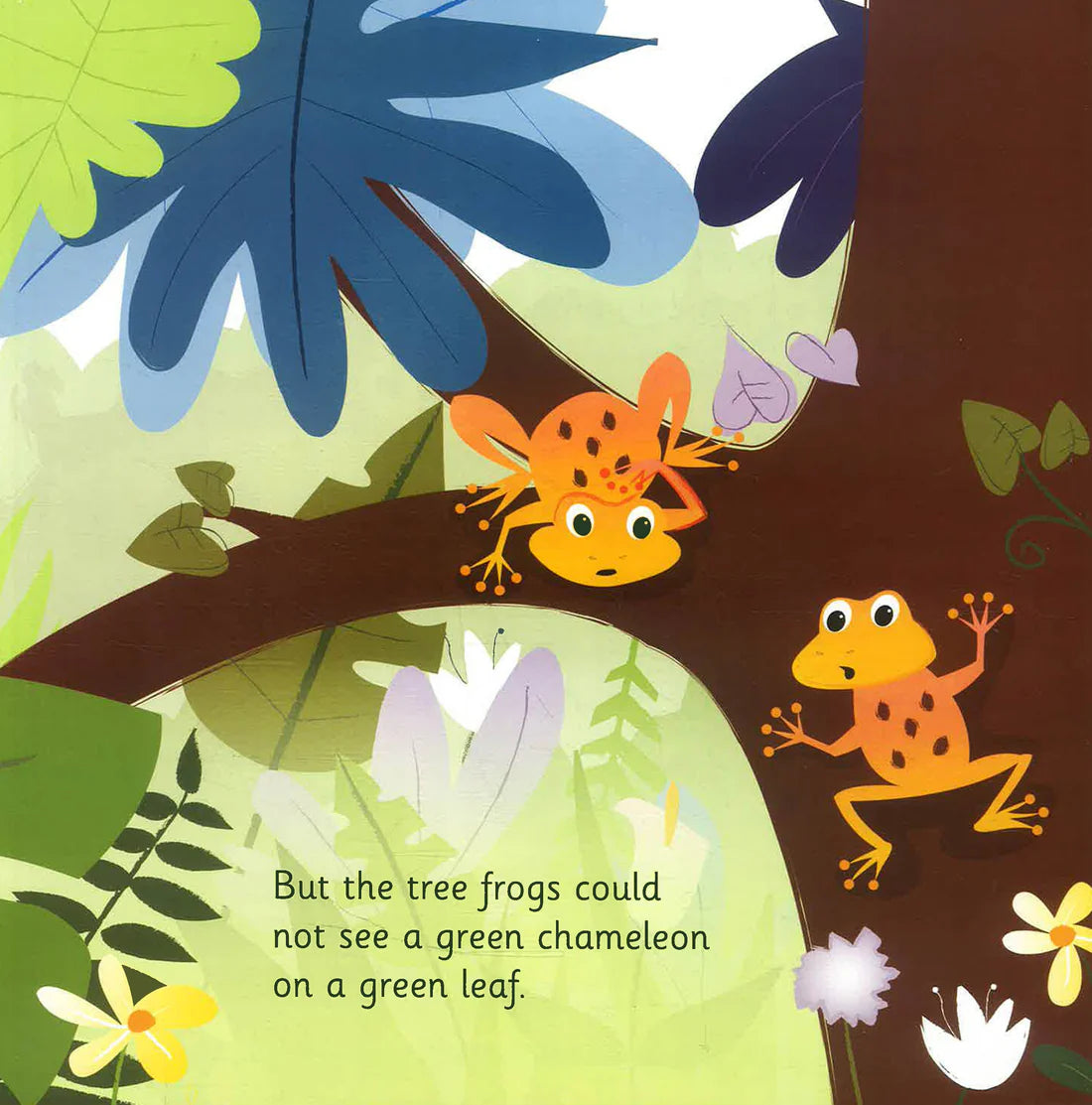 Look at Me! Look at Me!