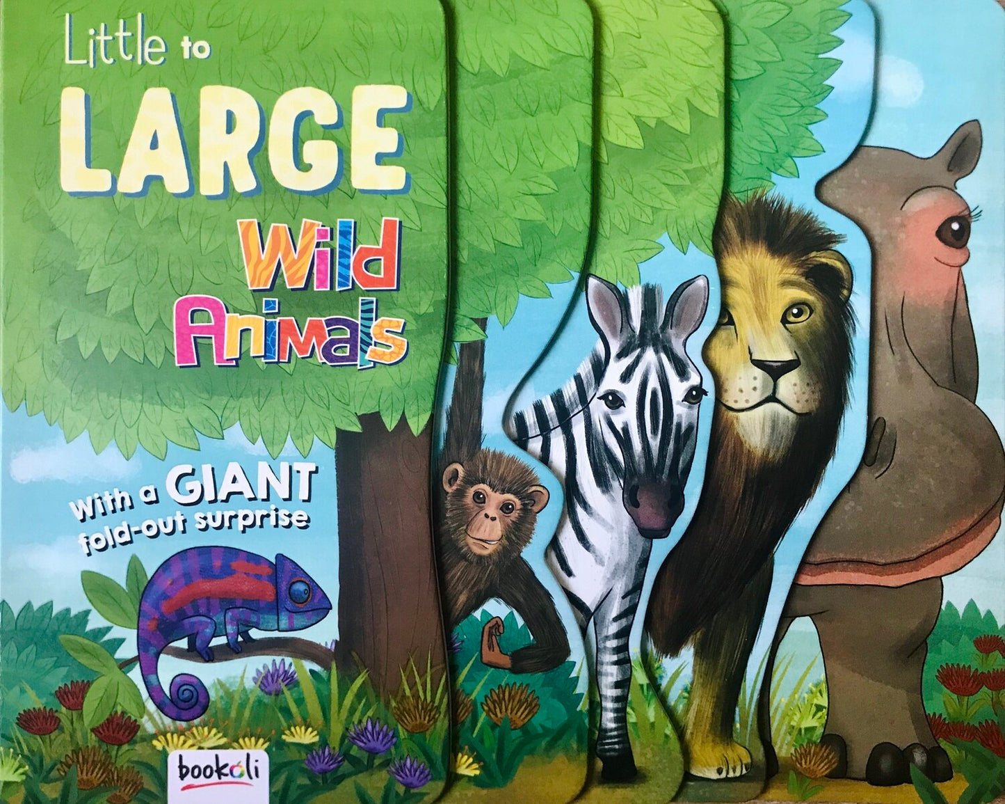 Little To Large: Wild Animals