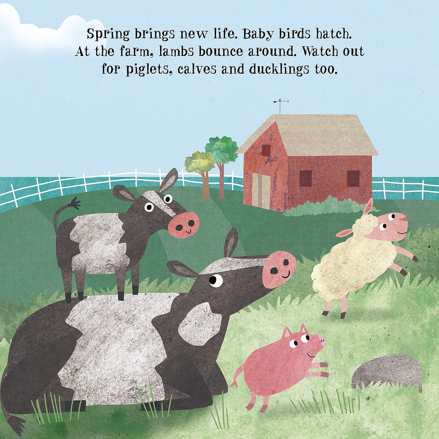 Look & Wonder: A Stroll Through the Seasons