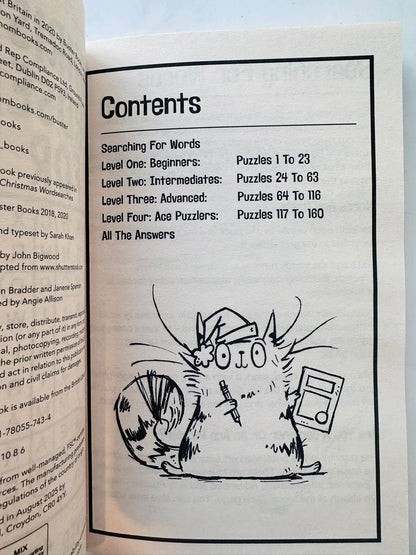 Christmas Wordsearches for Kids (Pack of 30)