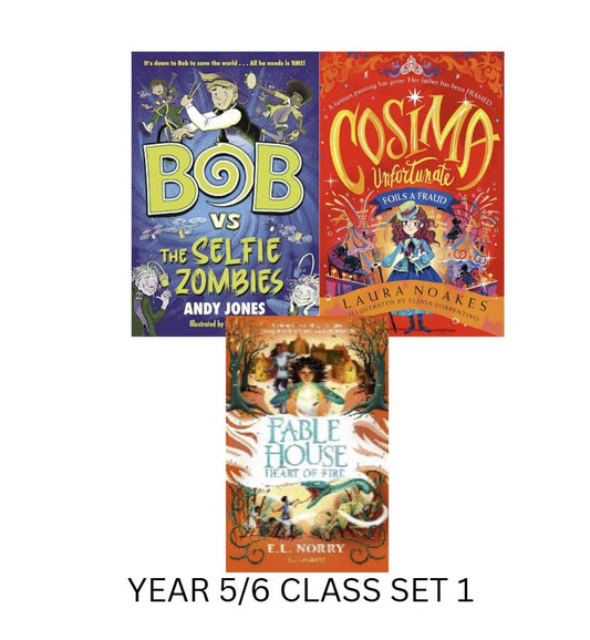 Year 5/6- Class Set 1