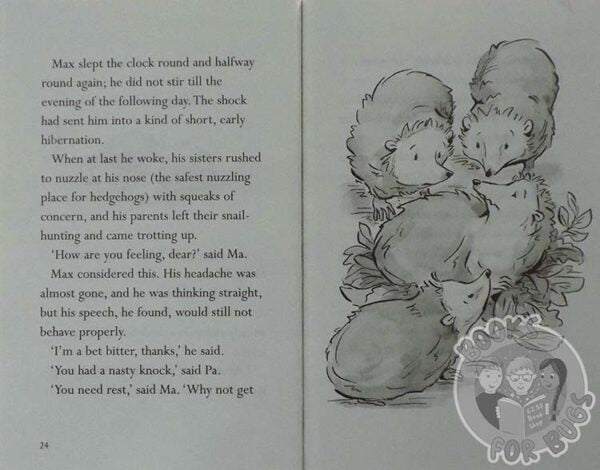 The Hodgeheg ( Pack of 30 )