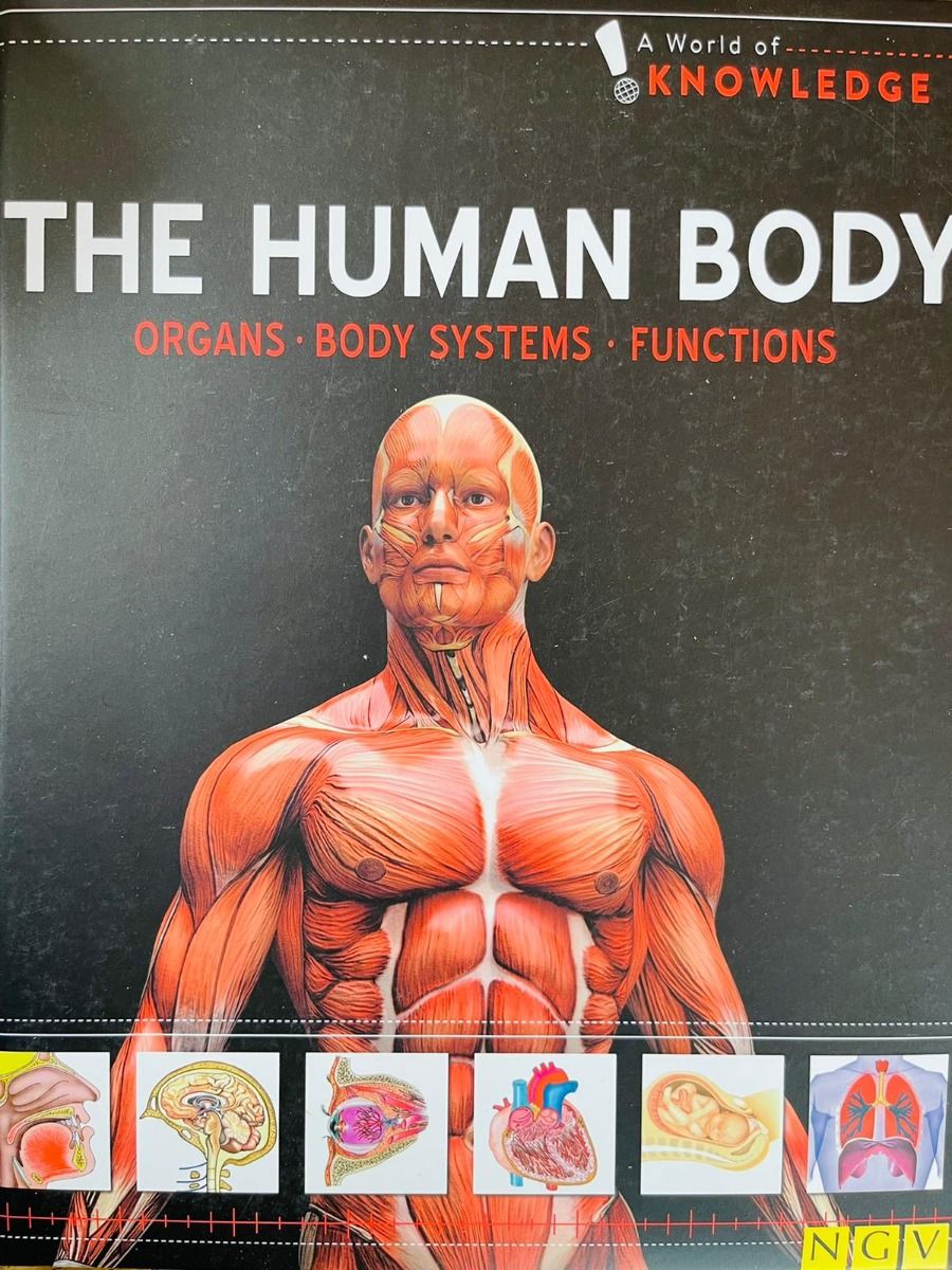 World of Knowledge: The Human Body